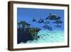 Two Pennant Fish Scamper Away from a Pod of Striped Dolphins-null-Framed Premium Giclee Print