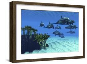 Two Pennant Fish Scamper Away from a Pod of Striped Dolphins-null-Framed Premium Giclee Print