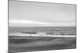 Two people and dog on beach at Point Reyes National Seashore, California, USA-Panoramic Images-Mounted Photographic Print
