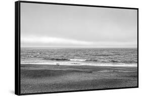 Two people and dog on beach at Point Reyes National Seashore, California, USA-Panoramic Images-Framed Stretched Canvas