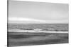 Two people and dog on beach at Point Reyes National Seashore, California, USA-Panoramic Images-Stretched Canvas