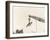 Two People Dangling from Crane-null-Framed Photo