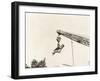 Two People Dangling from Crane-null-Framed Photo