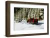 Two people riding sleigh pulled by horses near evergreen forest in winter-Panoramic Images-Framed Photographic Print