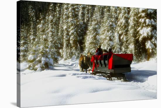Two people riding sleigh pulled by horses near evergreen forest in winter-Panoramic Images-Stretched Canvas
