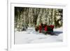 Two people riding sleigh pulled by horses near evergreen forest in winter-Panoramic Images-Framed Photographic Print