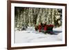 Two people riding sleigh pulled by horses near evergreen forest in winter-Panoramic Images-Framed Photographic Print