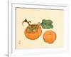 Two Persimmons-Bairei Kono-Framed Giclee Print