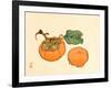 Two Persimmons-Bairei Kono-Framed Giclee Print