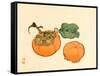 Two Persimmons-Bairei Kono-Framed Stretched Canvas