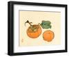 Two Persimmons-Bairei Kono-Framed Giclee Print