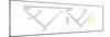Two Phylogenies Based on the Amount of Change in Macromolecules. Evolution-Encyclopaedia Britannica-Mounted Poster