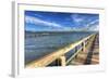 Two Piers Sebastian Florida-Robert Goldwitz-Framed Photographic Print