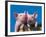 Two Pigs in a Bushel-Lynn M^ Stone-Framed Photographic Print