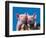 Two Pigs in a Bushel-Lynn M^ Stone-Framed Photographic Print