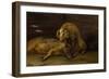 Two Pigs in a Sty, 1649 (Oil on Canvas)-Paulus Potter-Framed Giclee Print