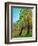 Two Pine Trees-Blenda Tyvoll-Framed Art Print