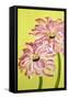 Two Pink Flowers-Soraya Chemaly-Framed Stretched Canvas
