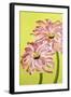 Two Pink Flowers-Soraya Chemaly-Framed Giclee Print