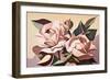 Two Pink Roses-Lea Faucher-Framed Art Print