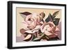 Two Pink Roses-Lea Faucher-Framed Art Print