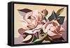 Two Pink Roses-Lea Faucher-Framed Stretched Canvas