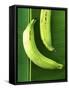 Two Plantains on a Banana Leaf-Armin Zogbaum-Framed Stretched Canvas