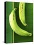 Two Plantains on a Banana Leaf-Armin Zogbaum-Stretched Canvas