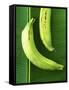 Two Plantains on a Banana Leaf-Armin Zogbaum-Framed Stretched Canvas