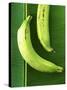 Two Plantains on a Banana Leaf-Armin Zogbaum-Stretched Canvas