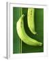 Two Plantains on a Banana Leaf-Armin Zogbaum-Framed Photographic Print