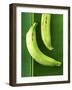 Two Plantains on a Banana Leaf-Armin Zogbaum-Framed Photographic Print