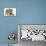 Two Playful Bulldog Puppies, 11 Weeks-Mark Taylor-Stretched Canvas displayed on a wall