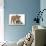 Two Playful Bulldog Puppies, 11 Weeks-Mark Taylor-Photographic Print displayed on a wall