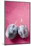 Two Plums-Foodcollection-Mounted Photographic Print