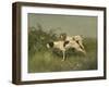 Two Pointers, C.1850-?97 (Oil on Canvas)-Charles Oliver De Penne-Framed Giclee Print