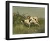 Two Pointers, C.1850-?97 (Oil on Canvas)-Charles Oliver De Penne-Framed Giclee Print