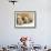 Two Polar Bear Cubs Keep an Eye on the Photographer as Their Mother Licks the Snow at Hogle Zoo-null-Framed Photographic Print displayed on a wall