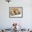 Two Polar Bear Cubs Keep an Eye on the Photographer as Their Mother Licks the Snow at Hogle Zoo-null-Framed Photographic Print displayed on a wall