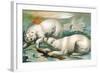 Two Polar Bears Fighting over Seal, 1884-null-Framed Giclee Print