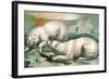 Two Polar Bears Fighting over Seal, 1884-null-Framed Giclee Print