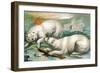 Two Polar Bears Fighting over Seal, 1884-null-Framed Giclee Print