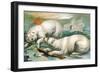 Two Polar Bears Fighting over Seal, 1884-null-Framed Giclee Print