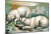 Two Polar Bears Fighting over Seal, 1884-null-Mounted Giclee Print