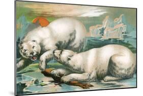 Two Polar Bears Fighting over Seal, 1884-null-Mounted Giclee Print