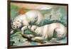 Two Polar Bears Fighting over Seal, 1884-null-Framed Giclee Print