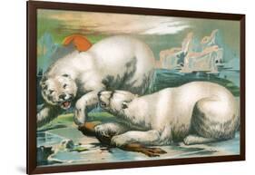 Two Polar Bears Fighting over Seal, 1884-null-Framed Giclee Print