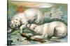 Two Polar Bears Fighting over Seal, 1884-null-Stretched Canvas