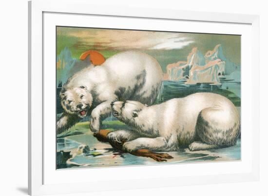 Two Polar Bears Fighting over Seal, 1884-null-Framed Giclee Print