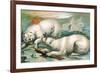 Two Polar Bears Fighting over Seal, 1884-null-Framed Giclee Print